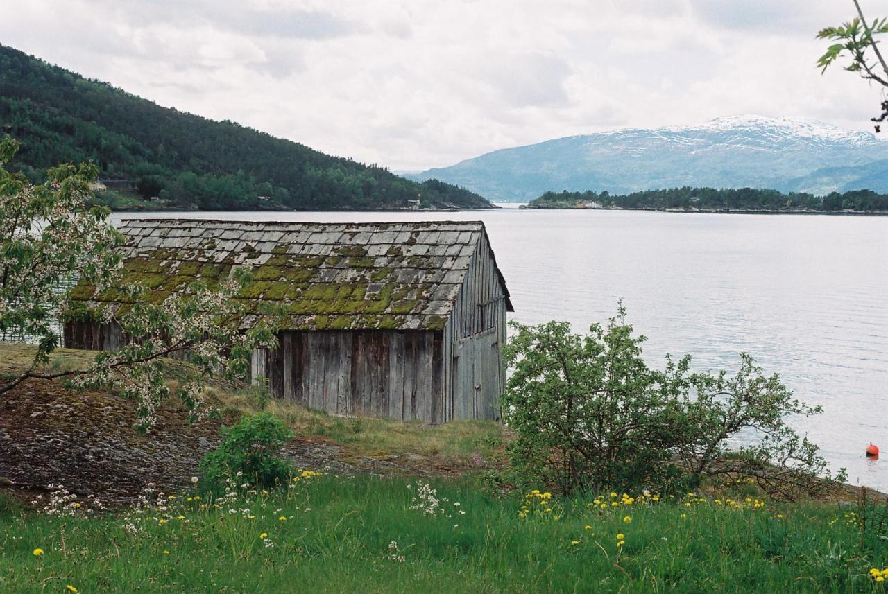 Hardanger Rom & Harmonium "The Green B&B" Herand Exteriör bild